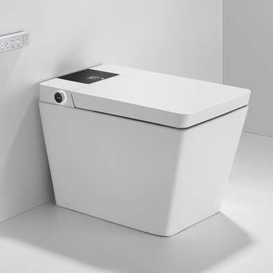 T2005 AUTO OPEN Tankless