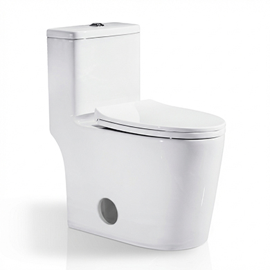 6654 Common Toilet