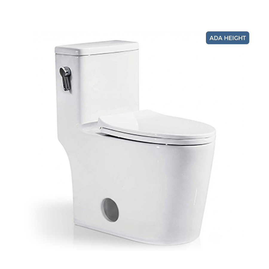 6636 Common Toilet